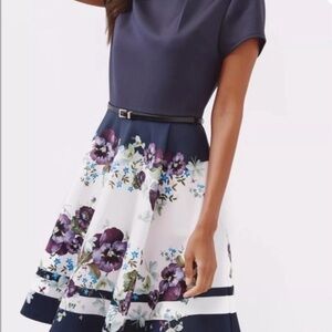 Ted Baker London Enchanted Skater Party Dress